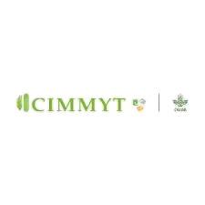 CIMMYT - International Maize and Wheat Improvement Center